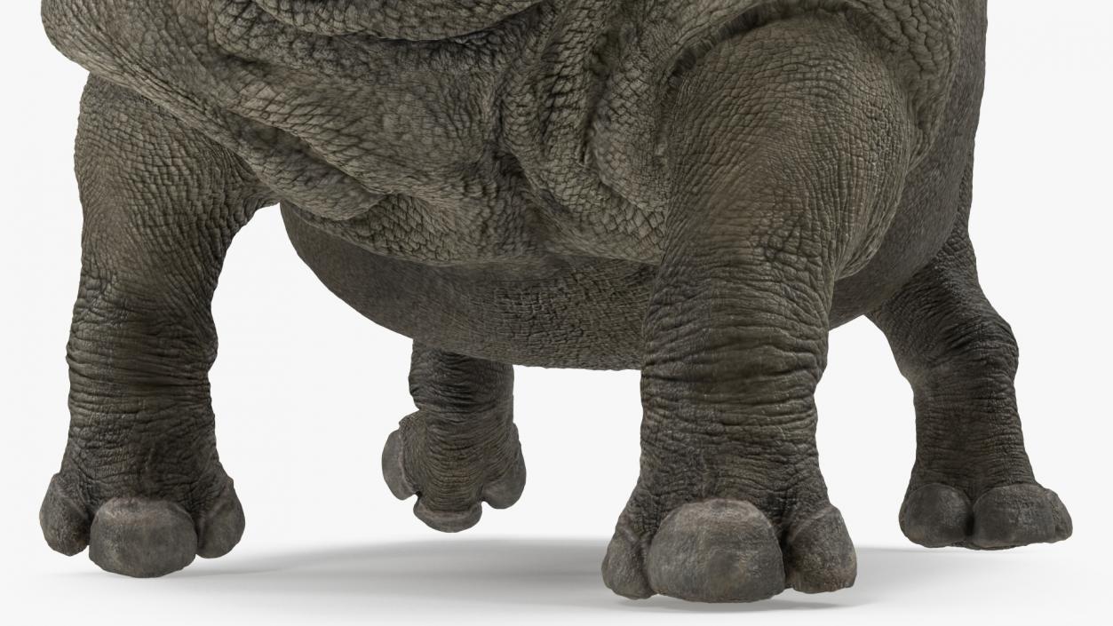 3D Rhino Adult Walking Pose Fur model