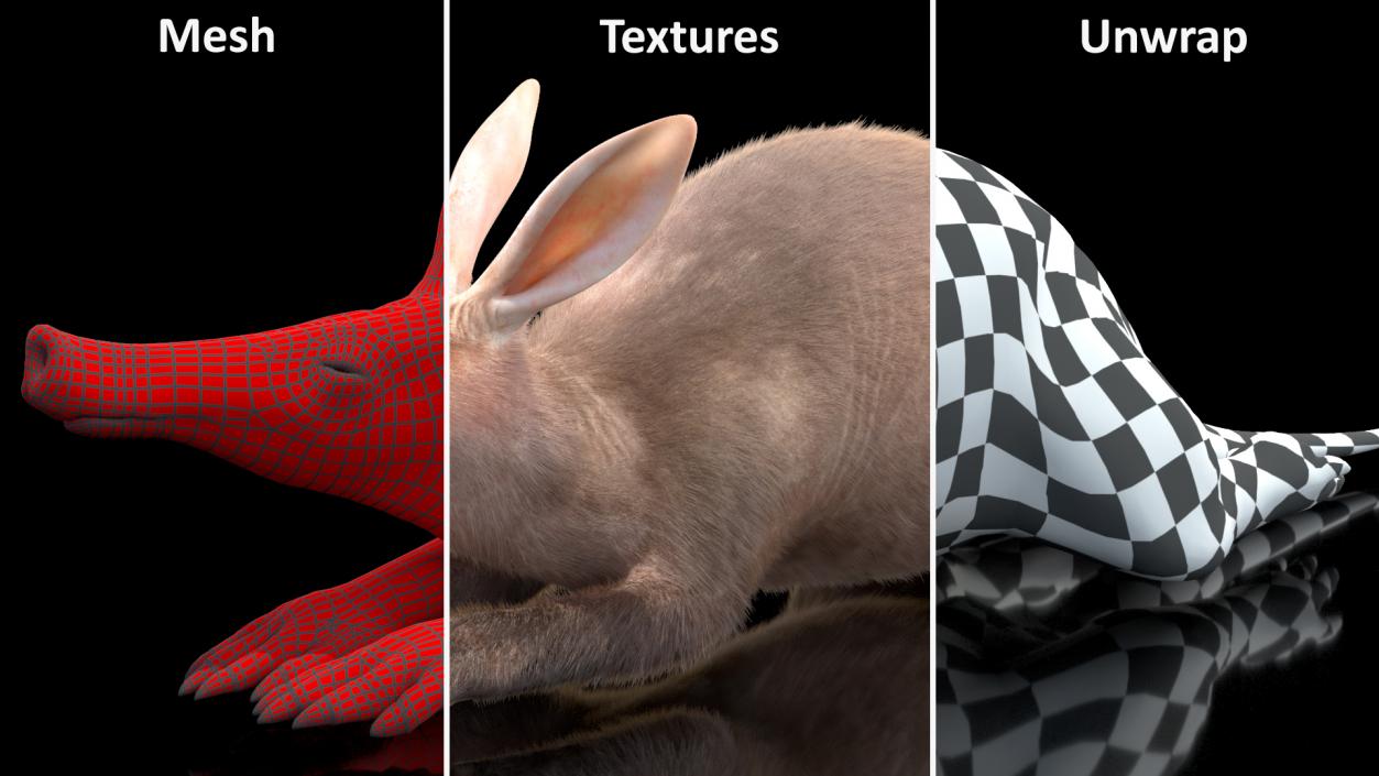 3D Aardvark Lying Pose Fur model