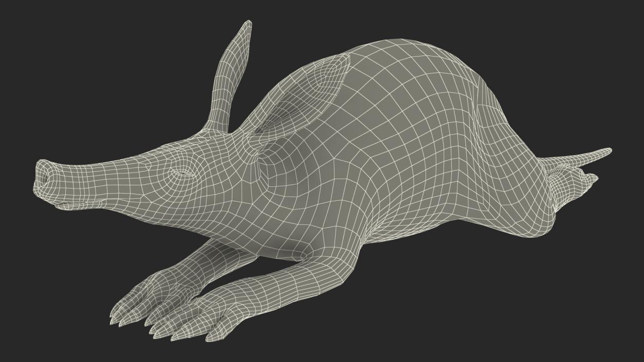 3D Aardvark Lying Pose Fur model