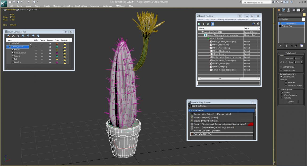 Cereus Blooming Cactus 3D