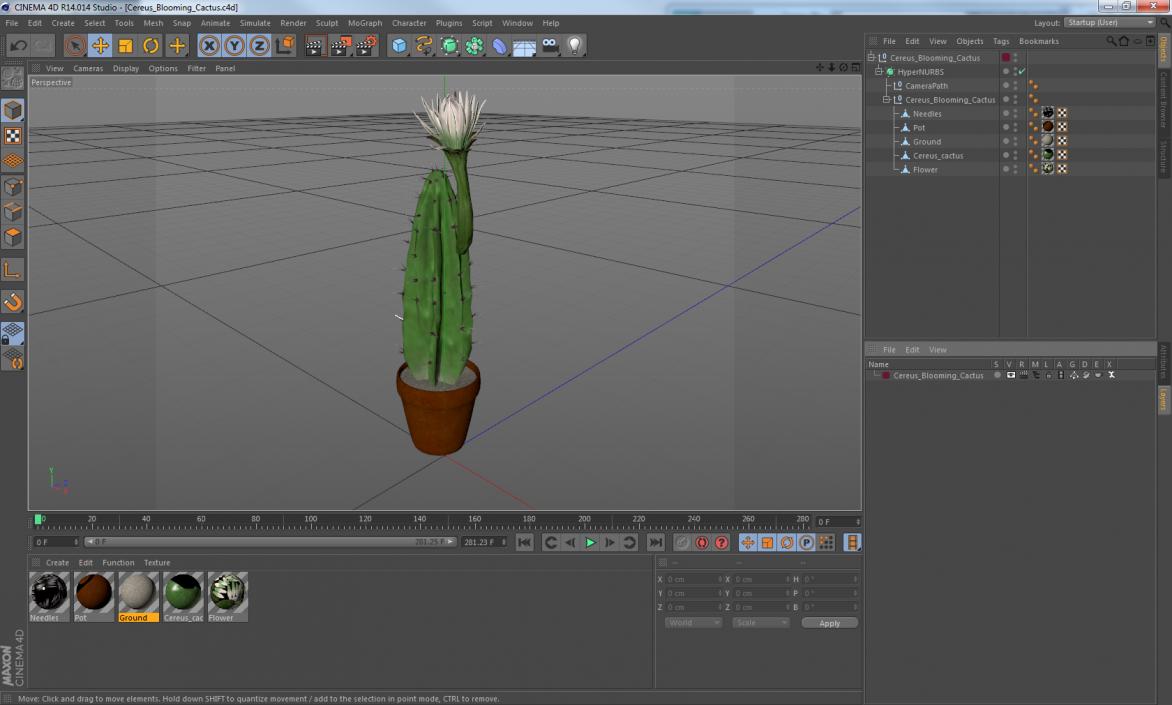 Cereus Blooming Cactus 3D