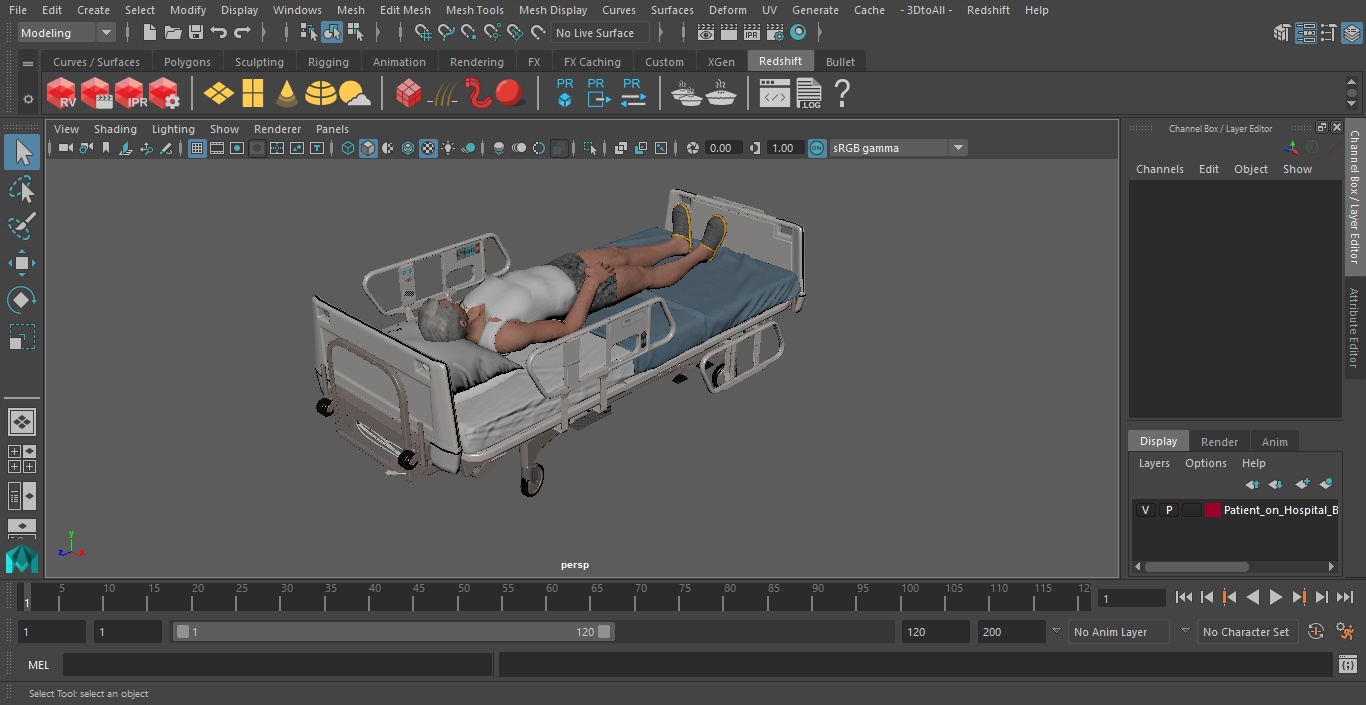 3D Patient on Hospital Bed model