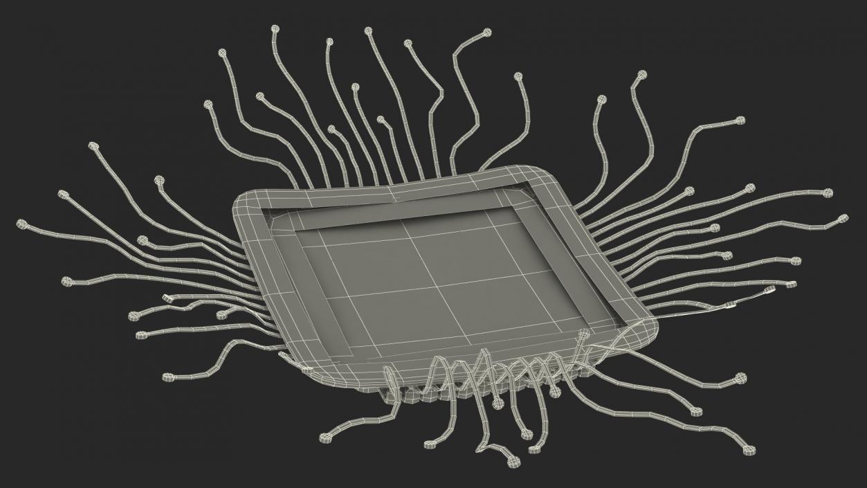 3D model Human Microchip Implant 2