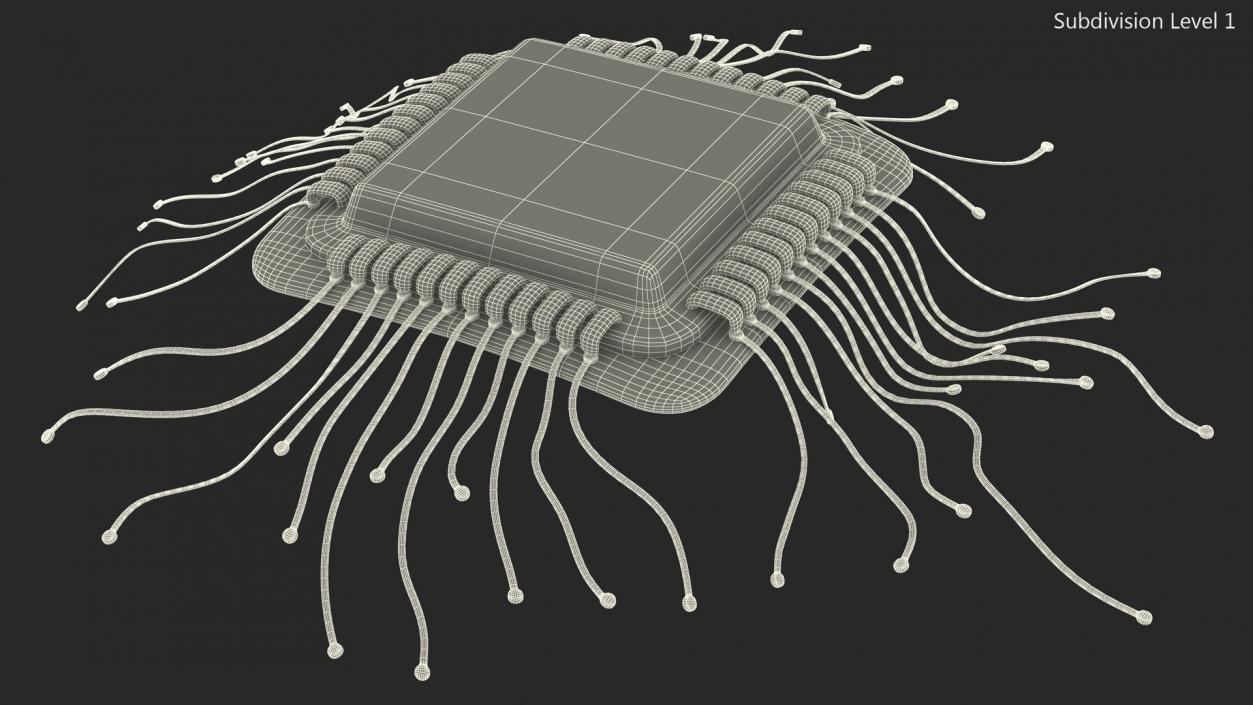 3D model Human Microchip Implant 2