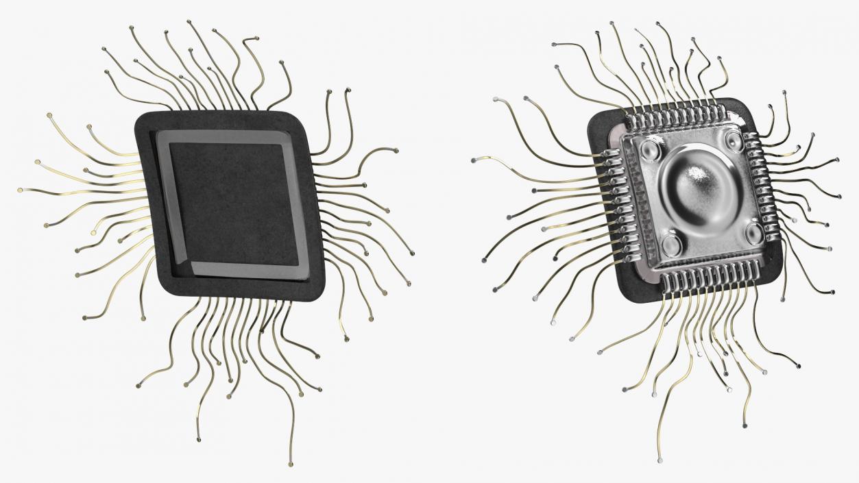 3D model Human Microchip Implant 2