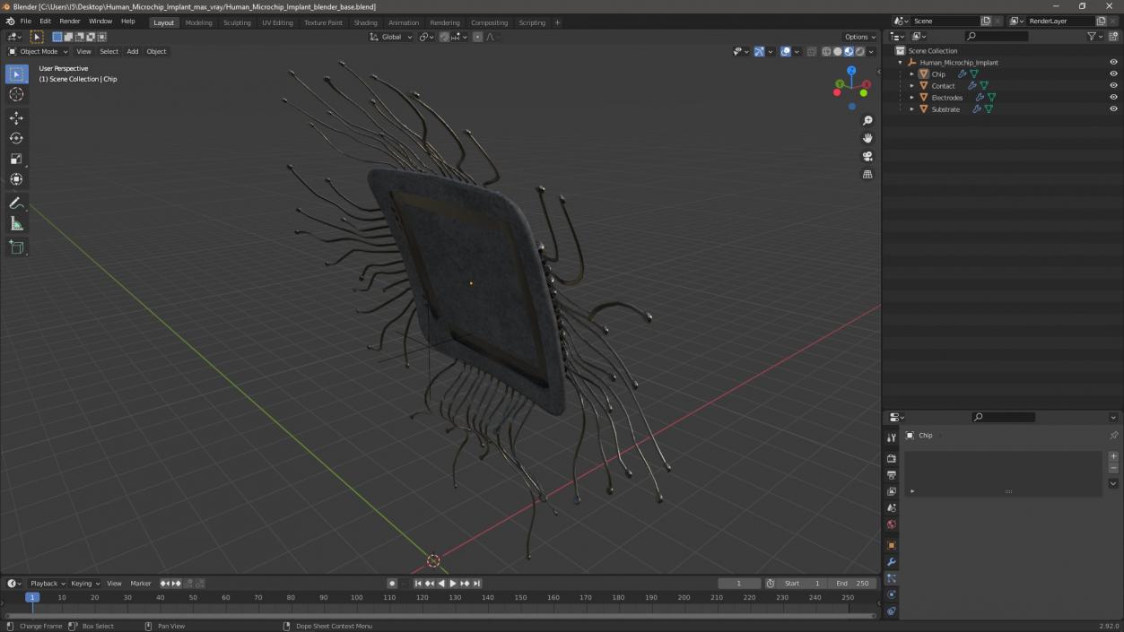 3D model Human Microchip Implant 2