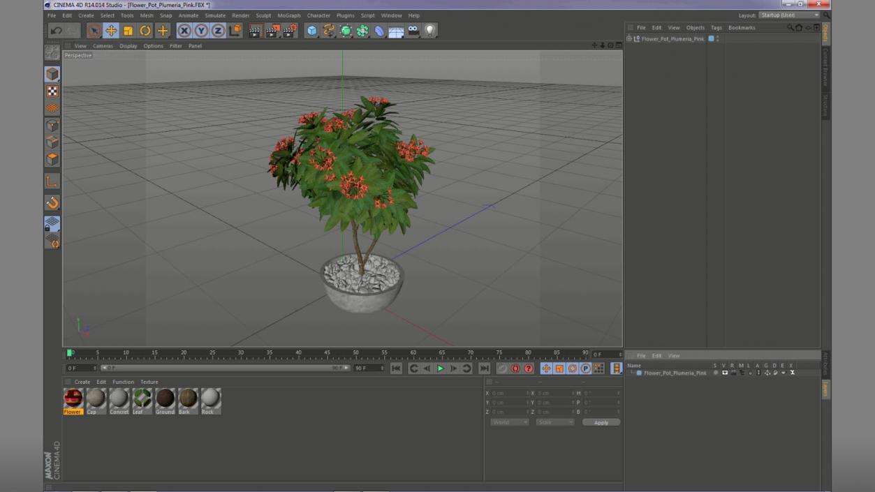 Flower Pot Plumeria Pink 3D model