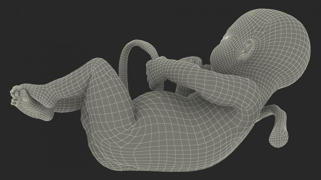 EctoLife Installation Artificial Uterus 3D model