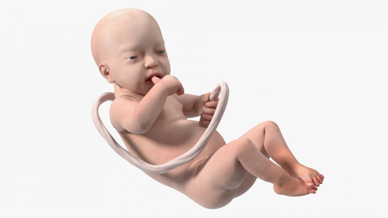 EctoLife Installation Artificial Uterus 3D model