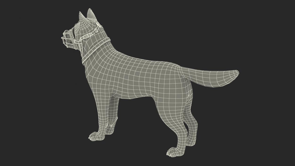 Husky in a Baskerville Muzzle 3D model