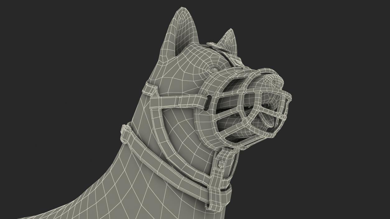 Husky in a Baskerville Muzzle 3D model