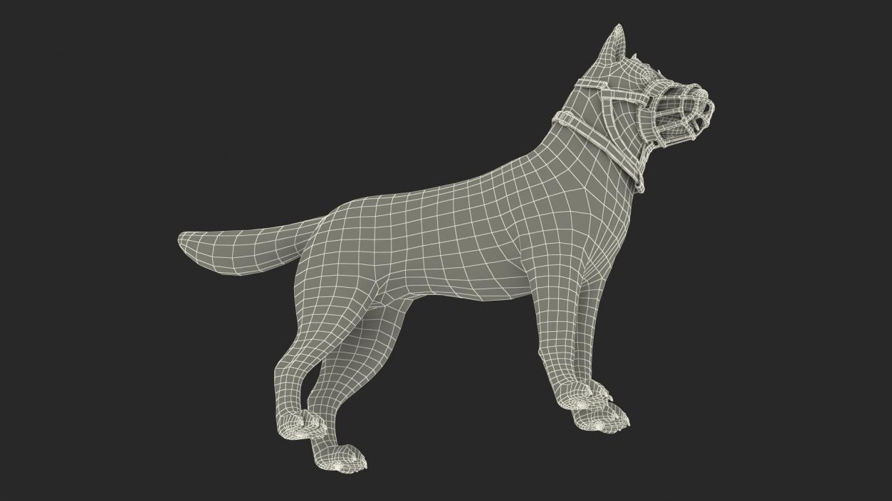 Husky in a Baskerville Muzzle 3D model