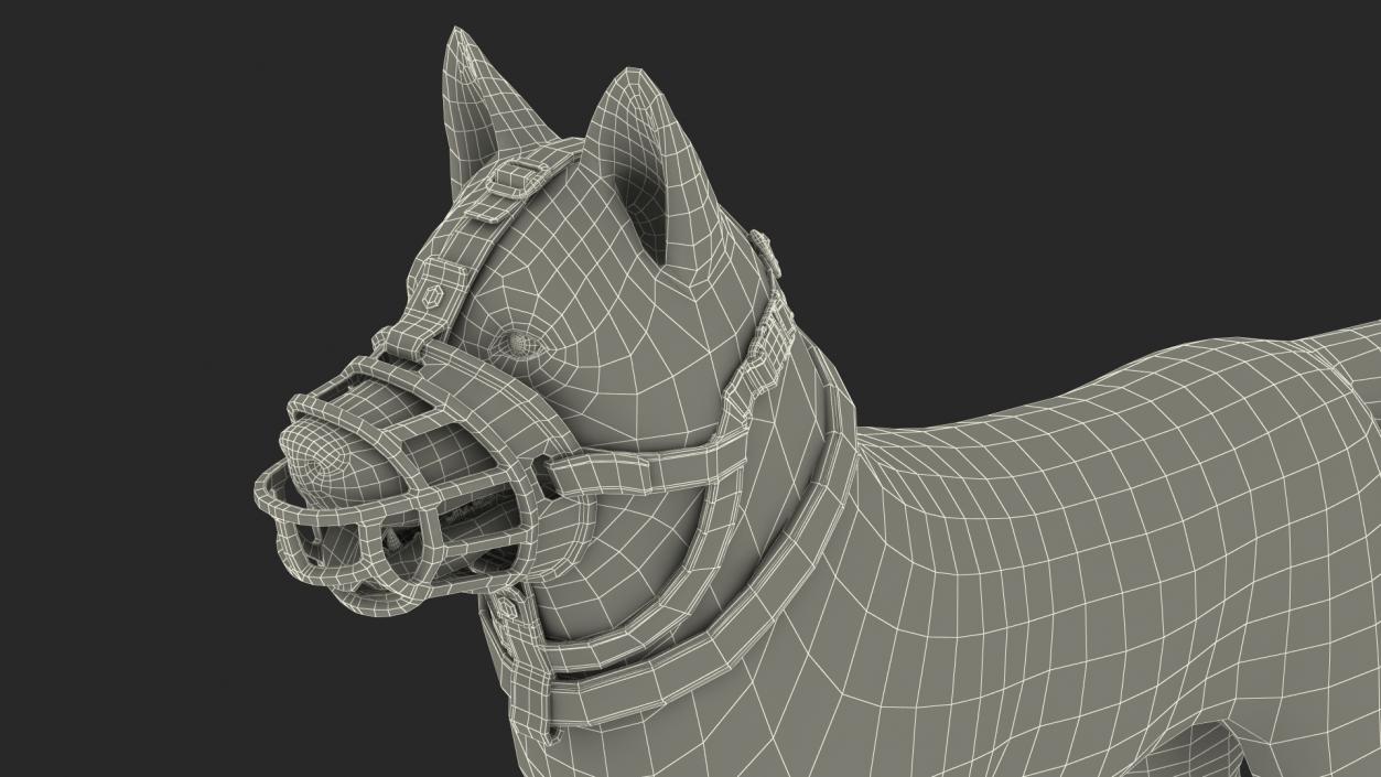 Husky in a Baskerville Muzzle 3D model