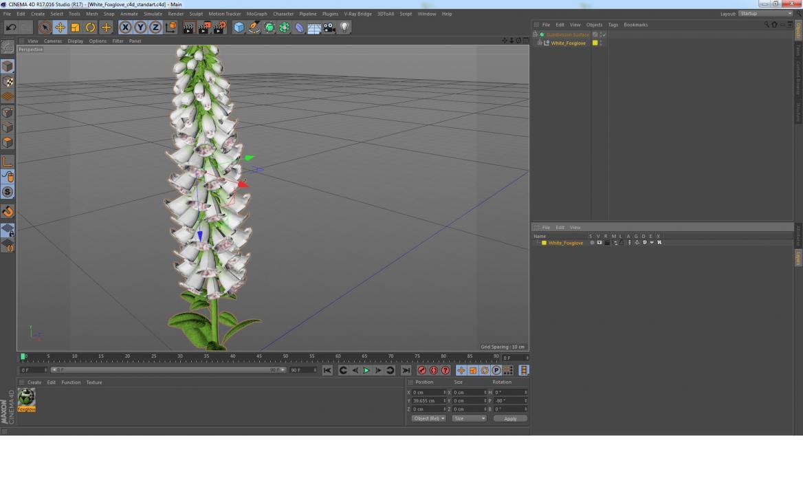 White Foxglove 3D model