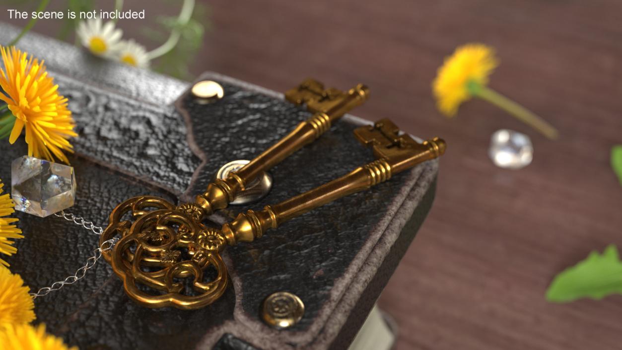 Antique Ornate Skeleton Key Gold 3D