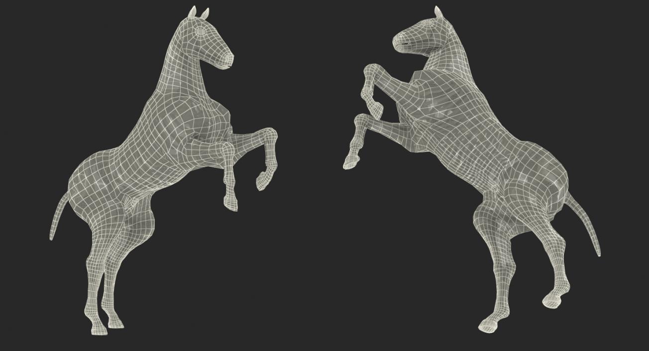 3D Rearing Horse Envelope with Skeleton