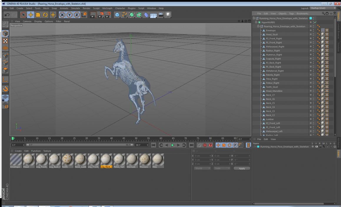 3D Rearing Horse Envelope with Skeleton