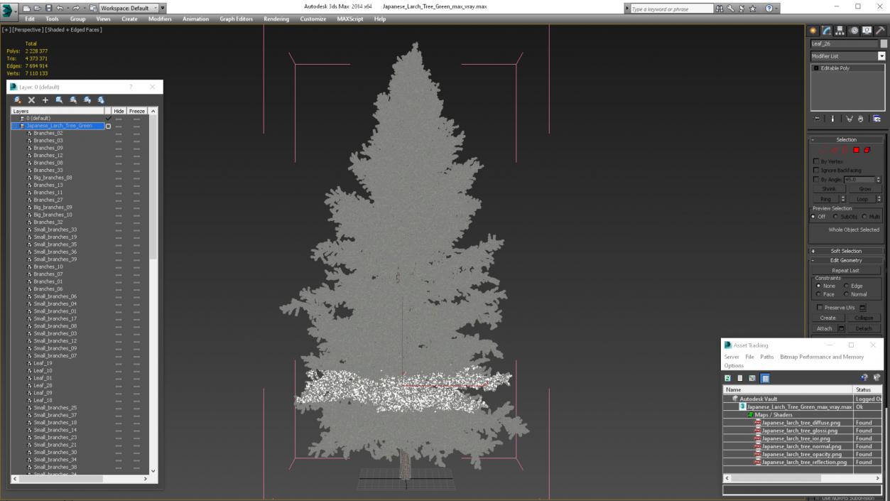 3D model Japanese Larch Tree Green