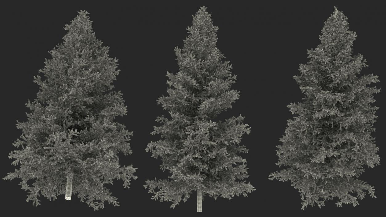 3D model Japanese Larch Tree Green