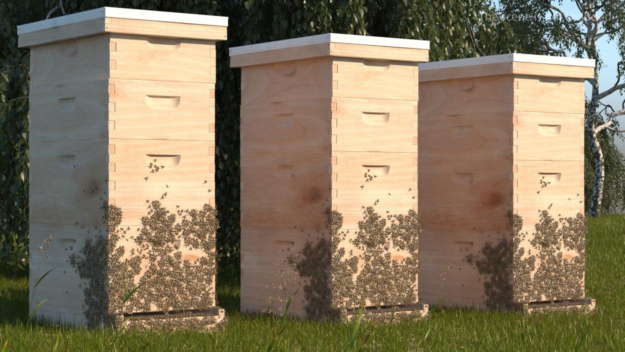 Wooden Beehive Brood Box with Bees 3D model