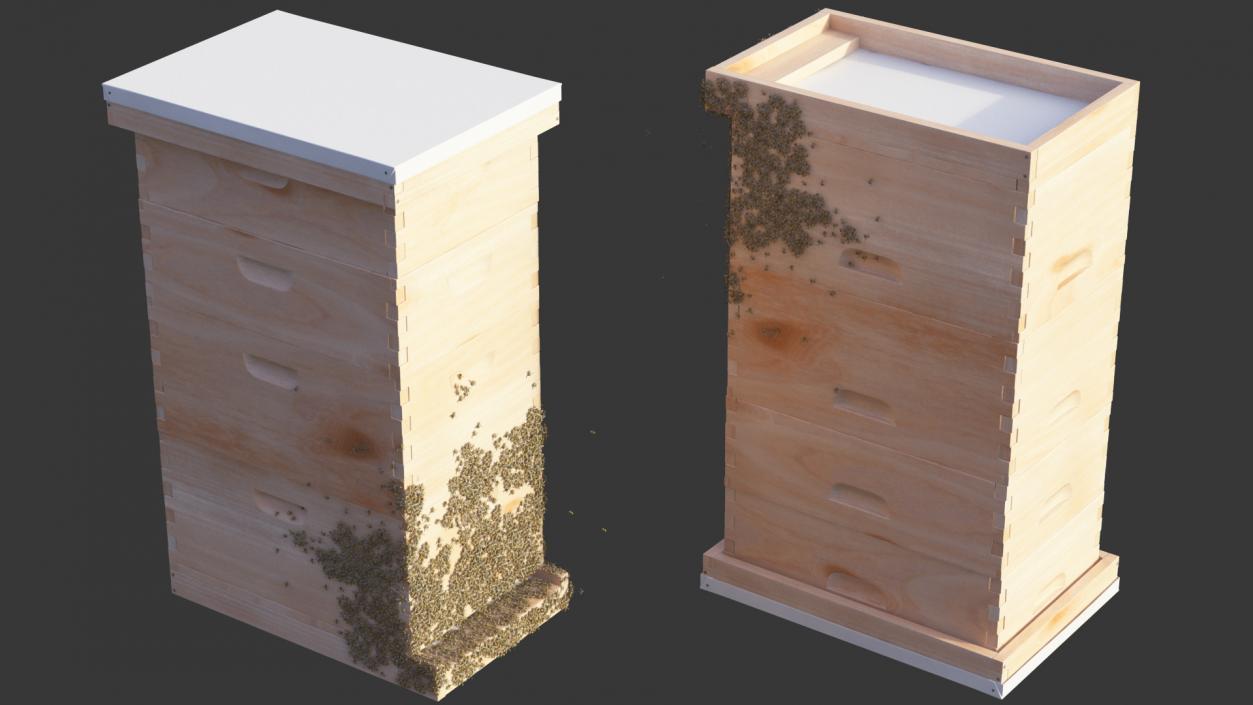 Wooden Beehive Brood Box with Bees 3D model