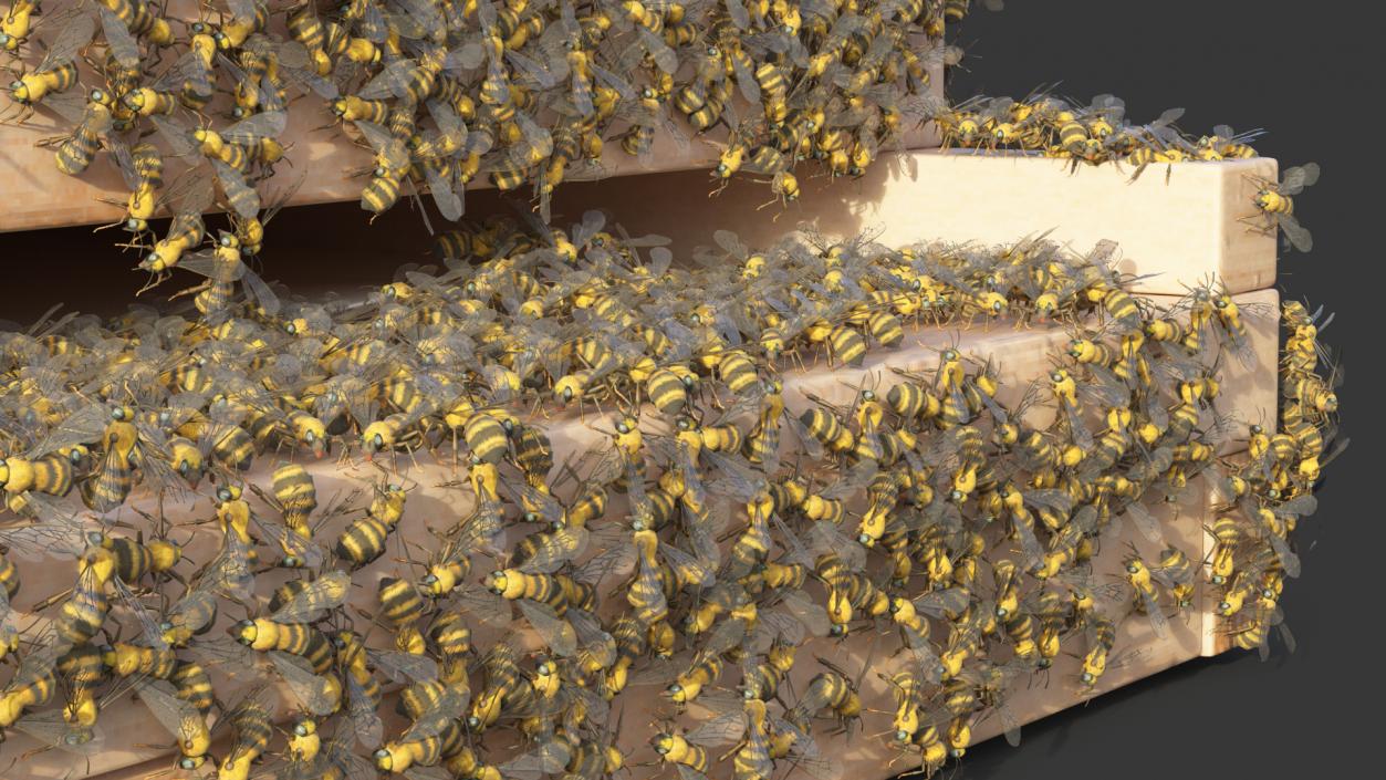 Wooden Beehive Brood Box with Bees 3D model