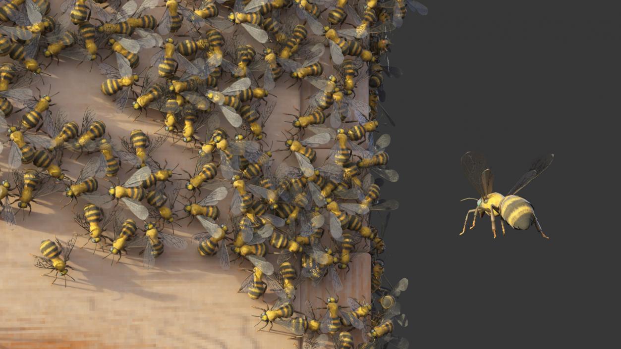 Wooden Beehive Brood Box with Bees 3D model