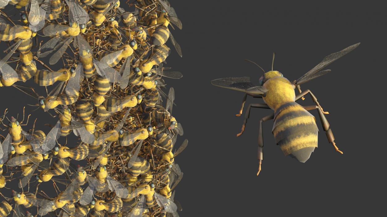 Wooden Beehive Brood Box with Bees 3D model