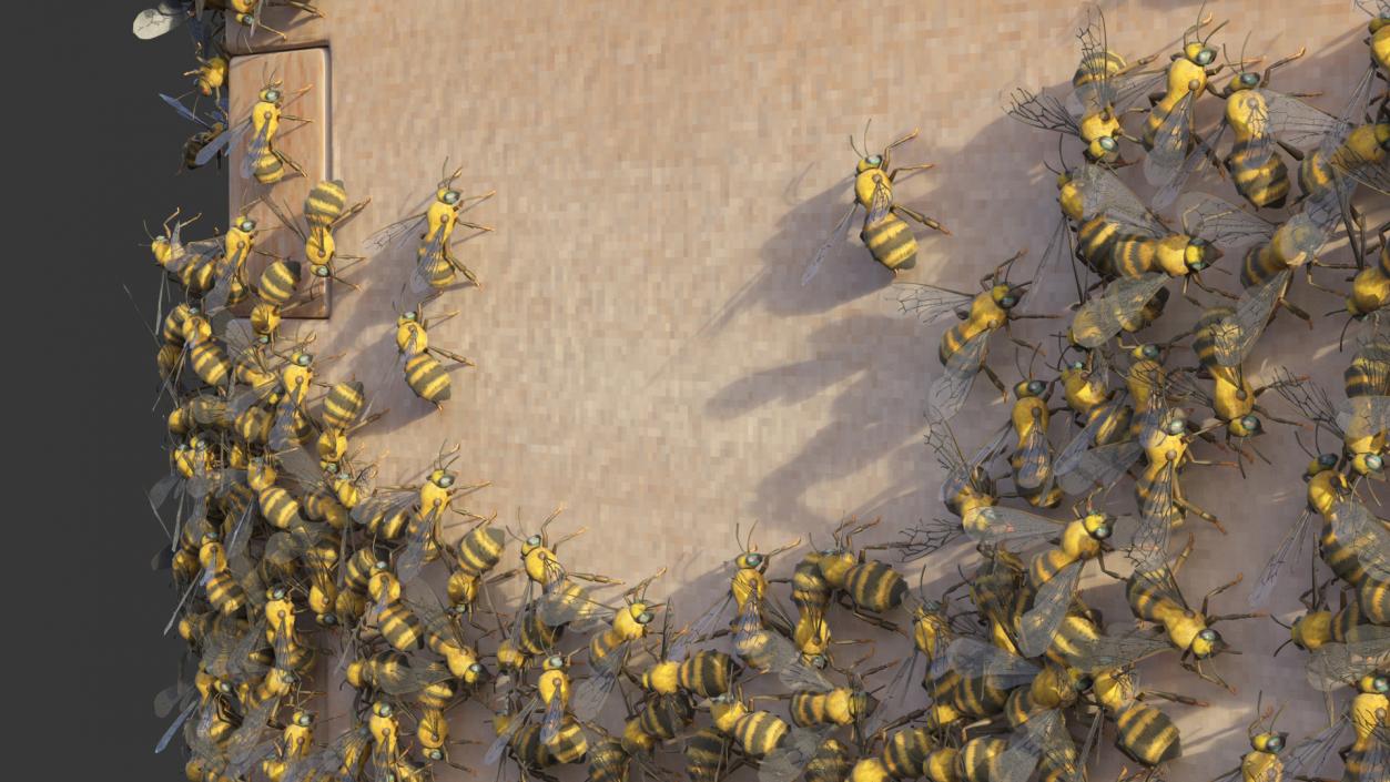 Wooden Beehive Brood Box with Bees 3D model