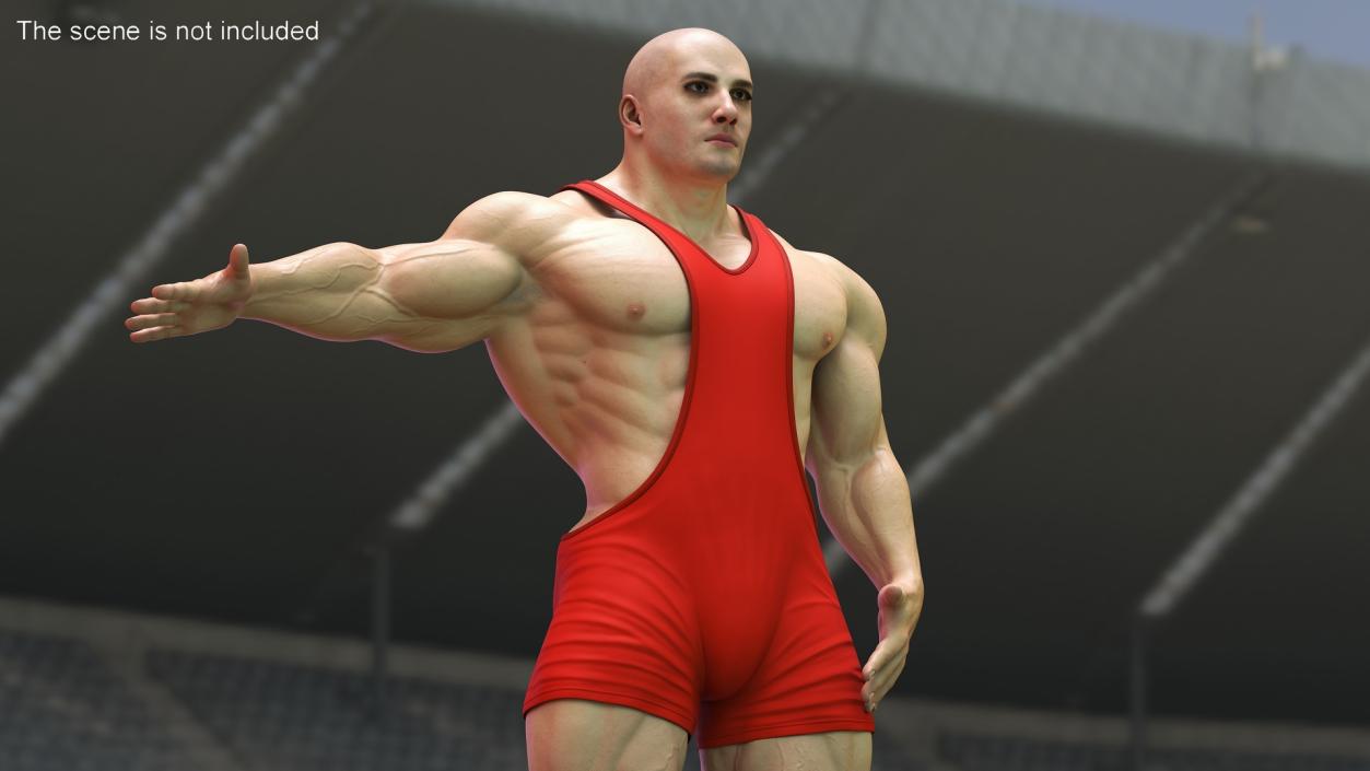 Wrestling Suit 3D model