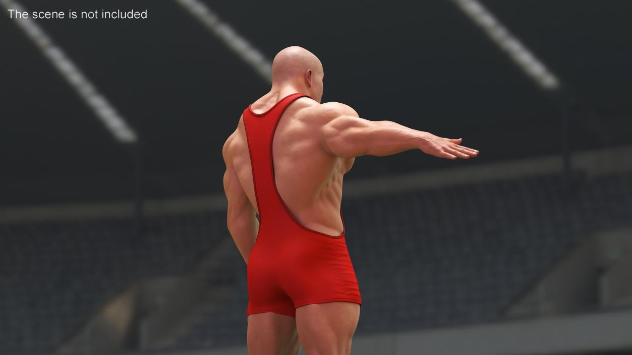 Wrestling Suit 3D model