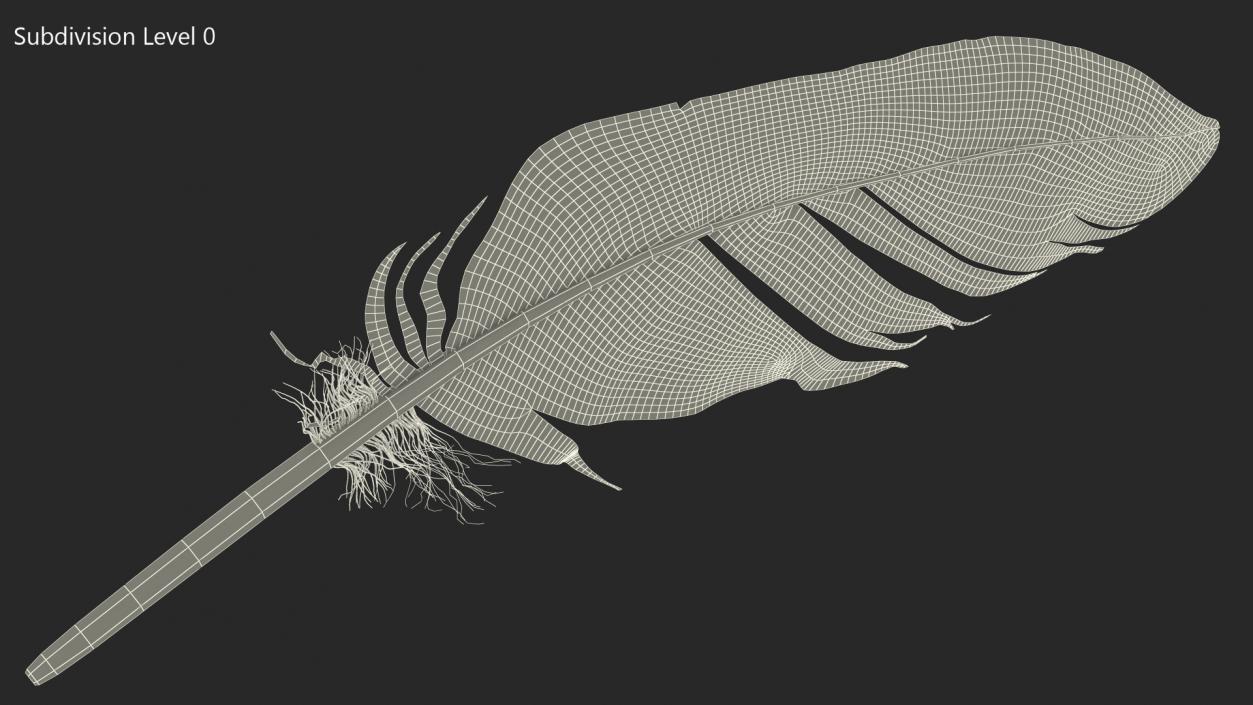 3D Pheasant Feather