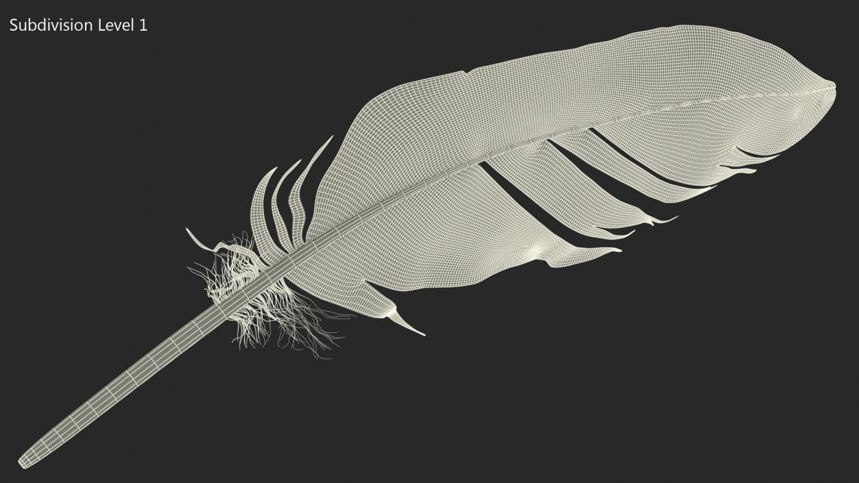 3D Pheasant Feather