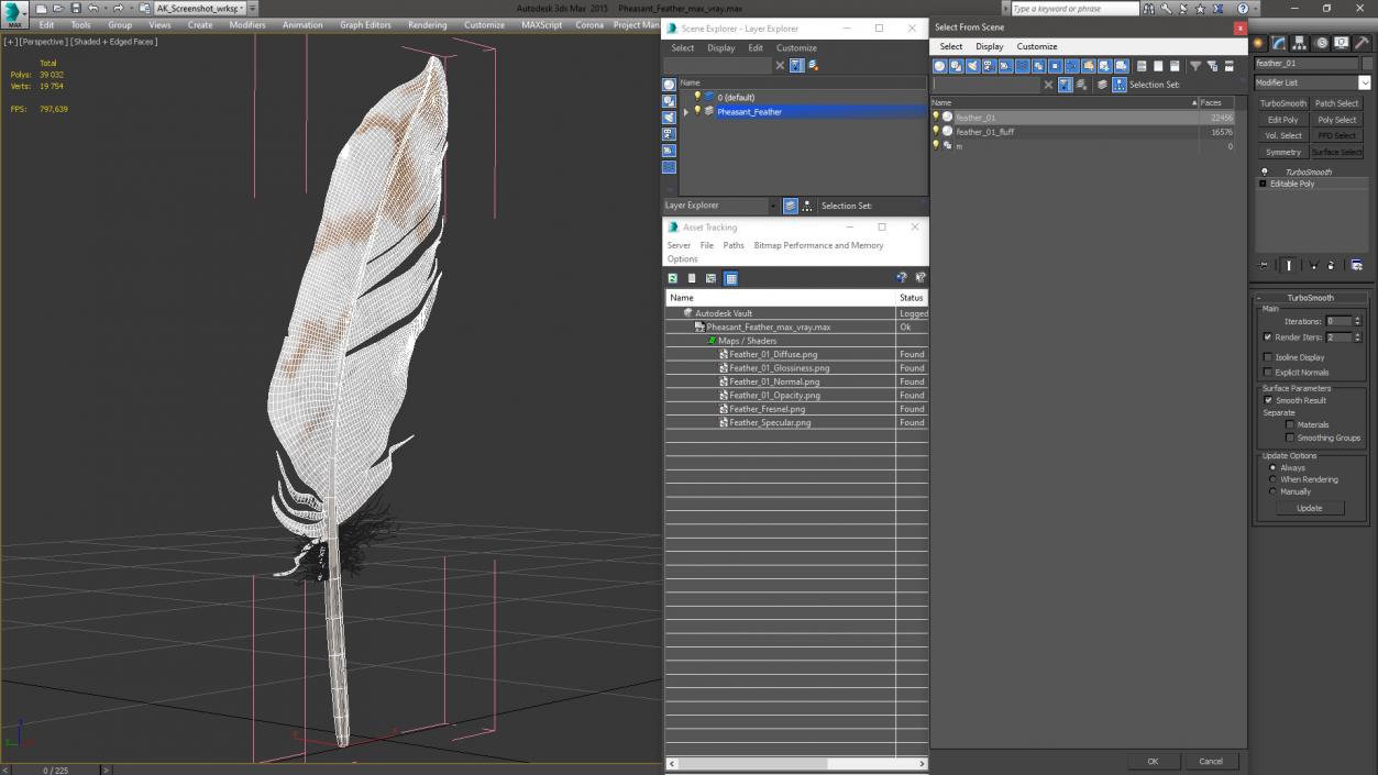 3D Pheasant Feather