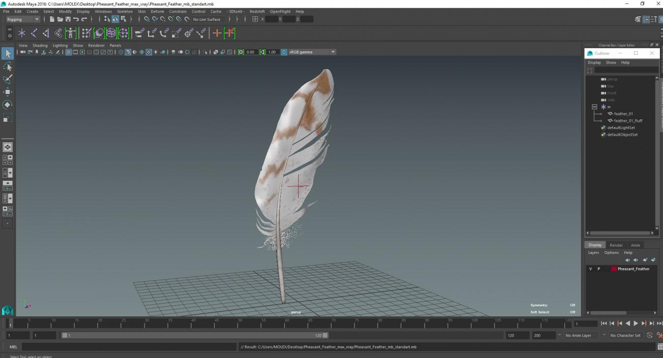 3D Pheasant Feather