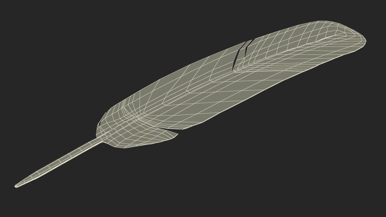 3D Ruffed Grouse Feather 2 model