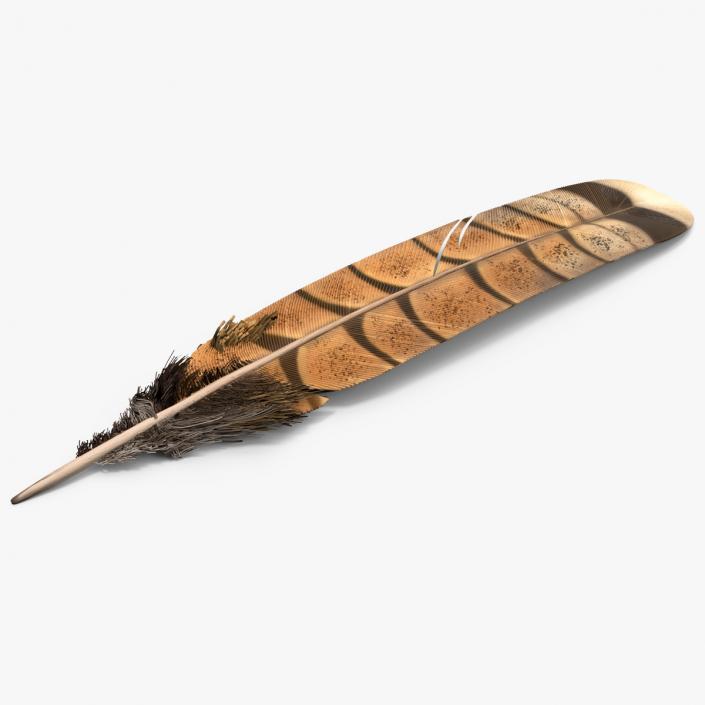 3D Ruffed Grouse Feather 2 model