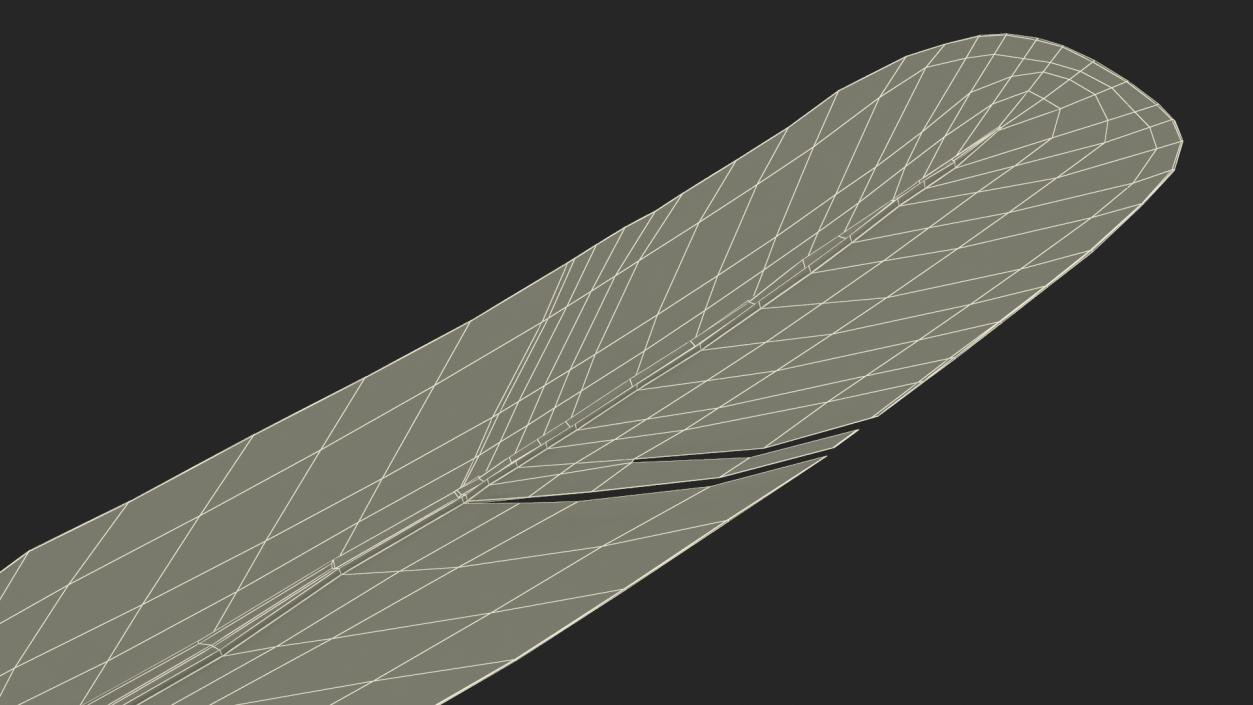 3D Ruffed Grouse Feather 2 model