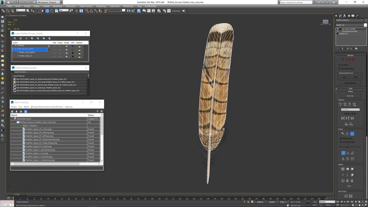 3D Ruffed Grouse Feather 2 model