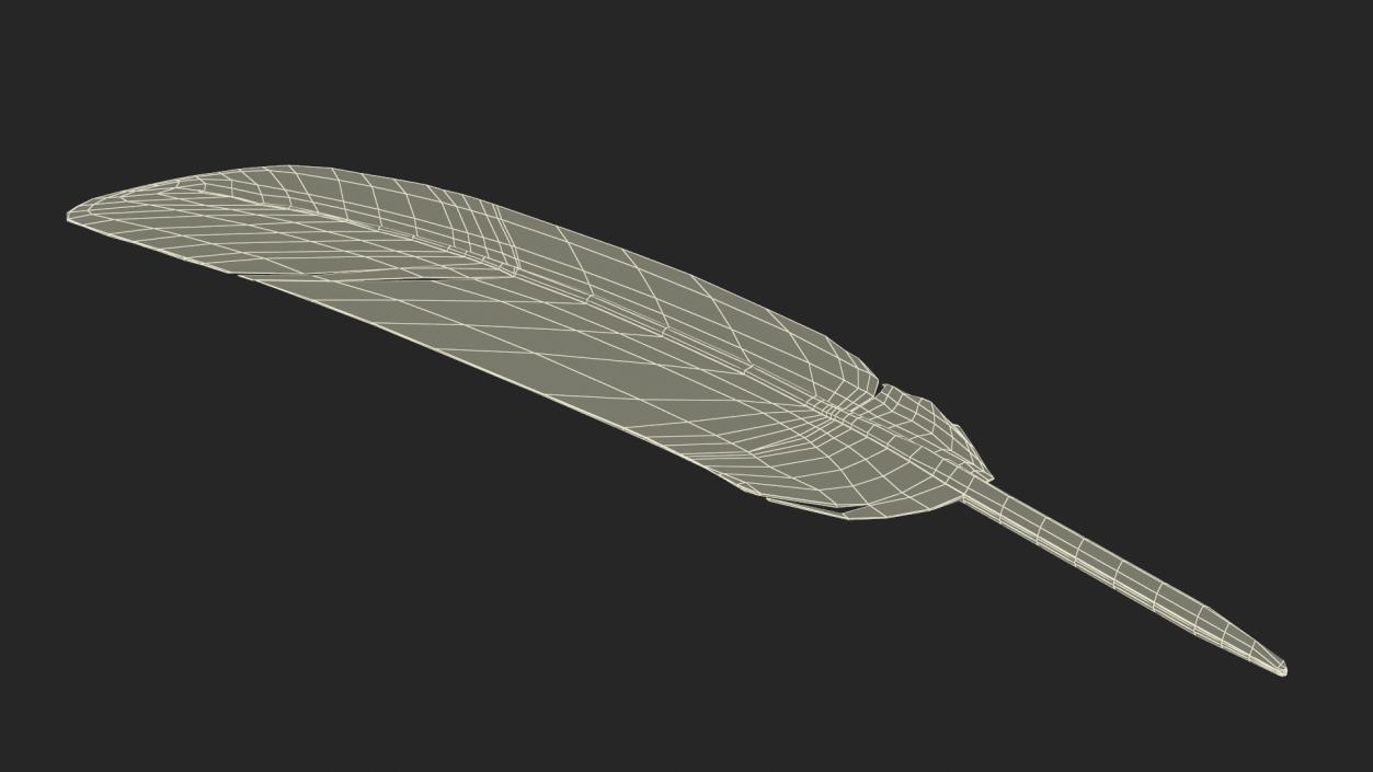 3D Ruffed Grouse Feather 2 model