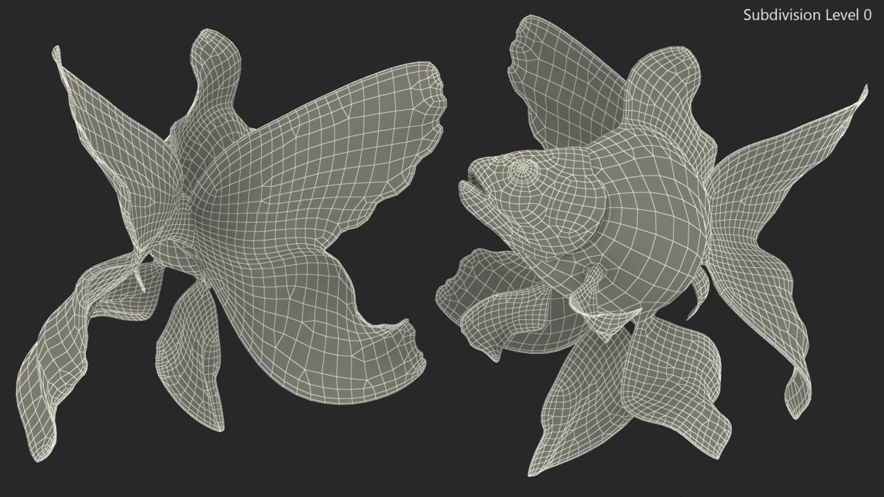 3D Goldfish Swim model