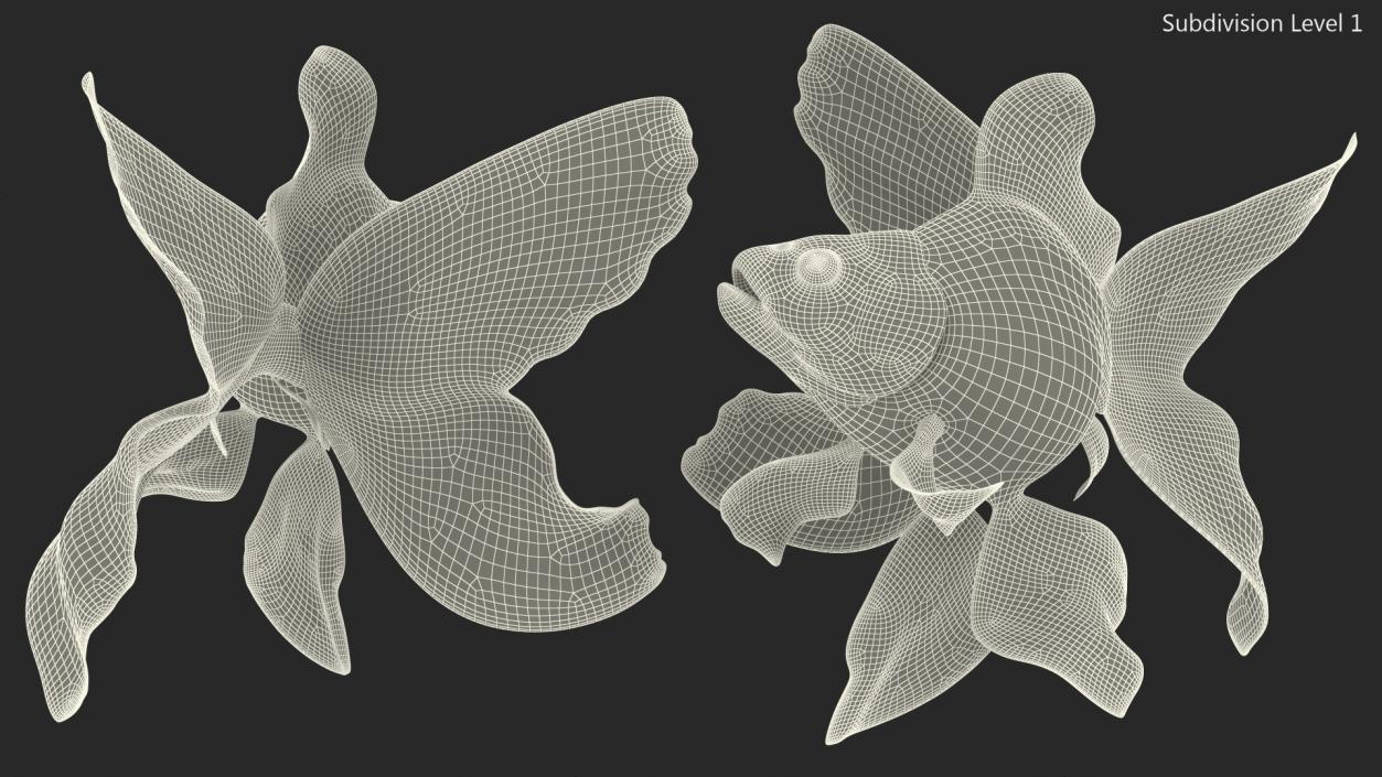 3D Goldfish Swim model