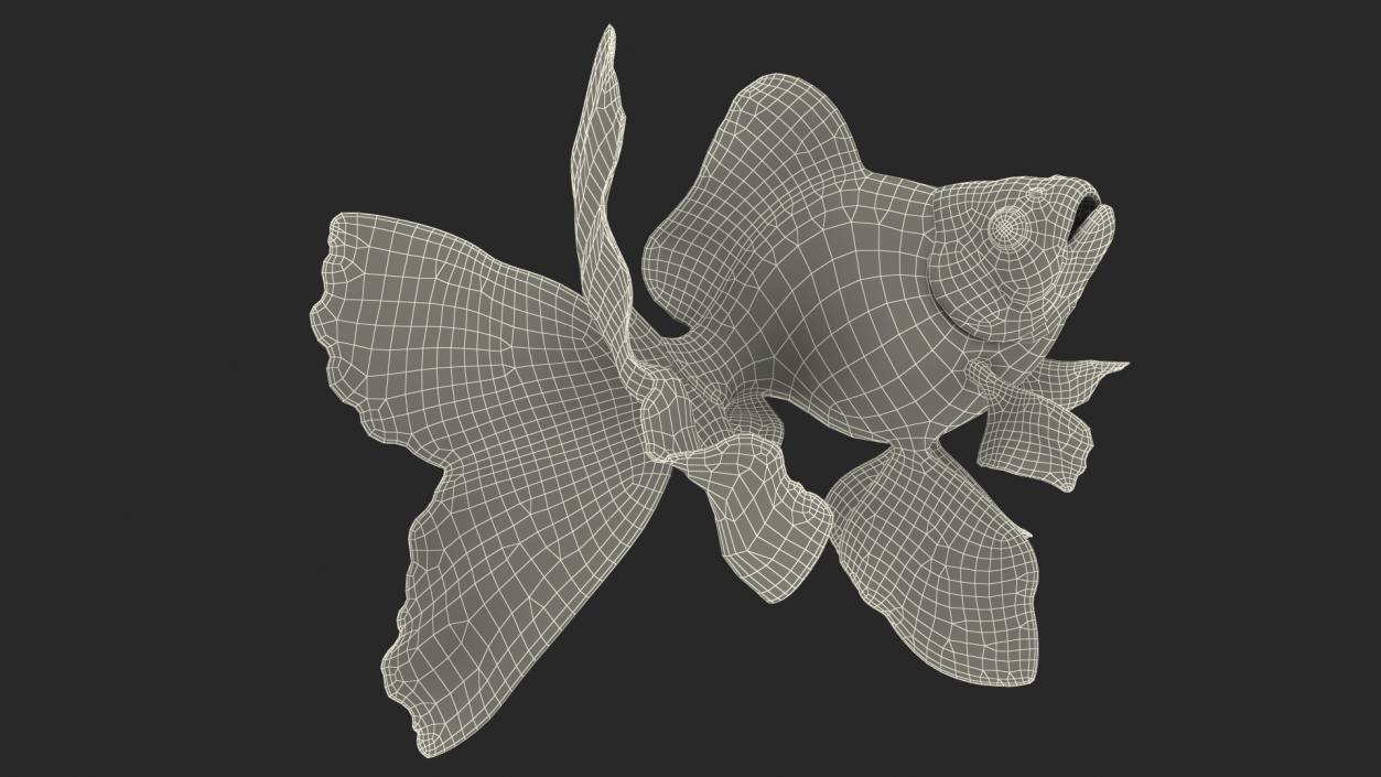 3D Goldfish Swim model