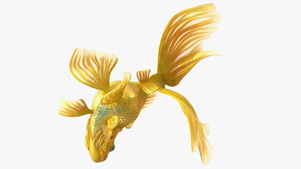 3D Goldfish Swim model