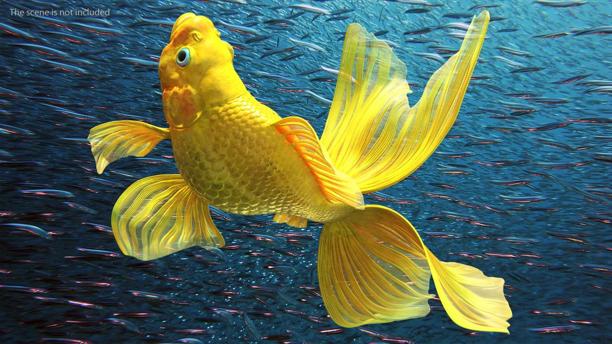 3D Goldfish Swim model