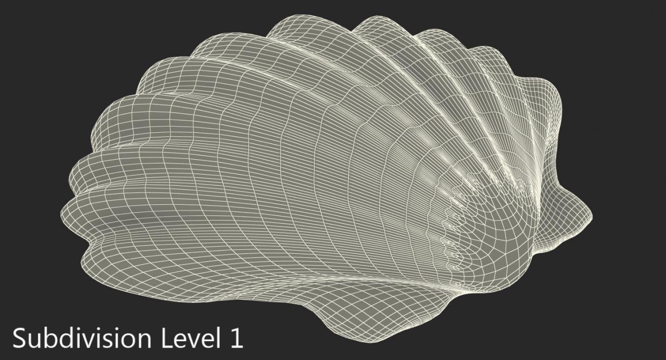 3D Sea Shell 2