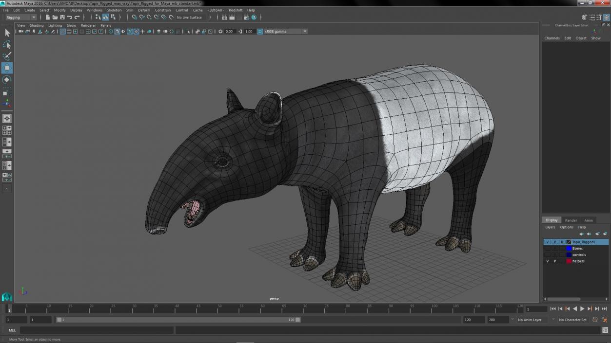 3D Tapir Rigged for Maya