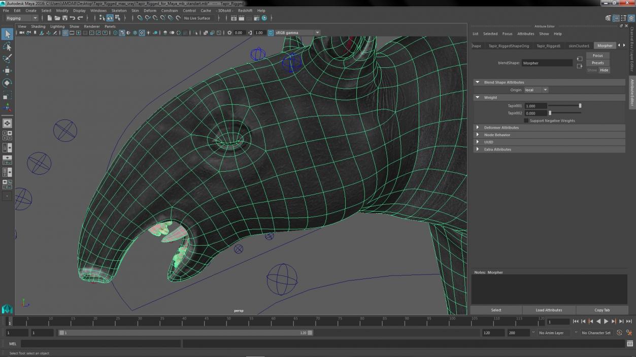 3D Tapir Rigged for Maya