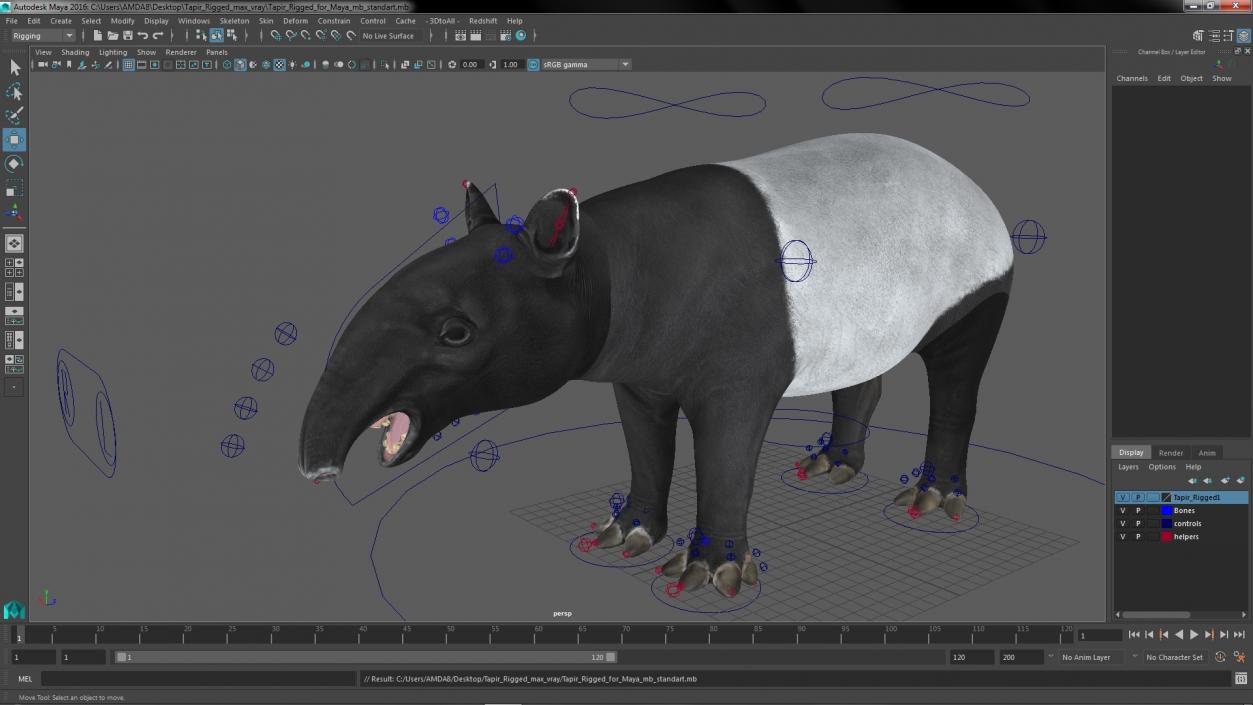 3D Tapir Rigged for Maya