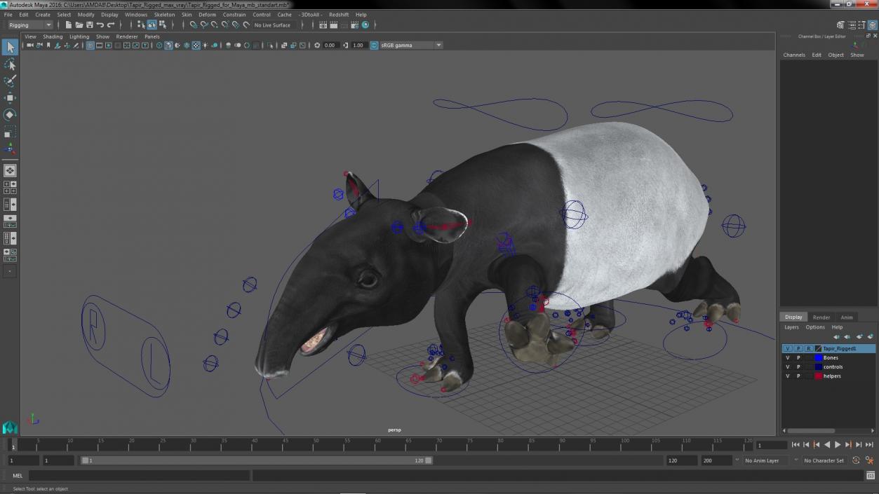 3D Tapir Rigged for Maya